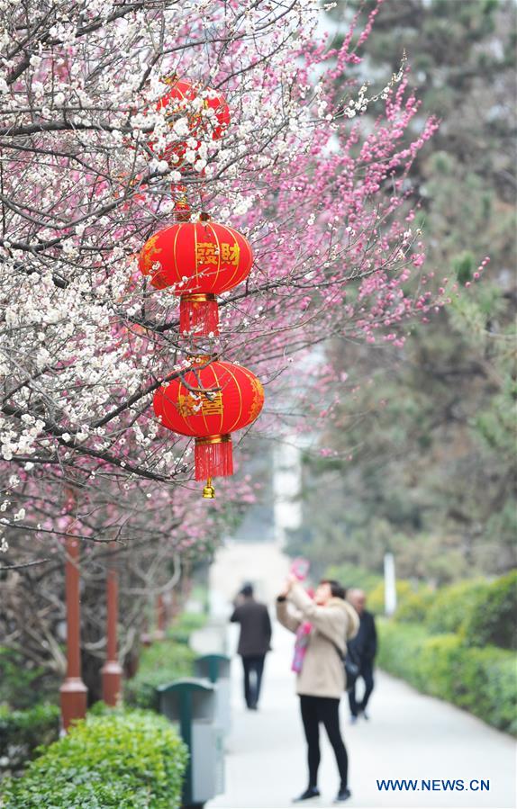 #CHINA-SPRING FESTIVAL-ATMOSPHERE(CN)