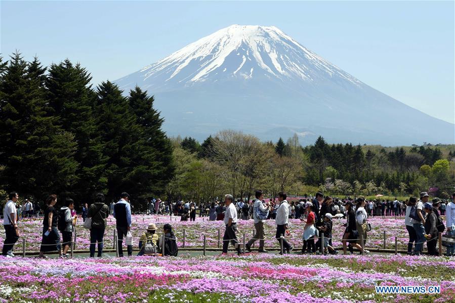 JAPAN-LAKE KAWAGUCHI-SHIBAZAKURA