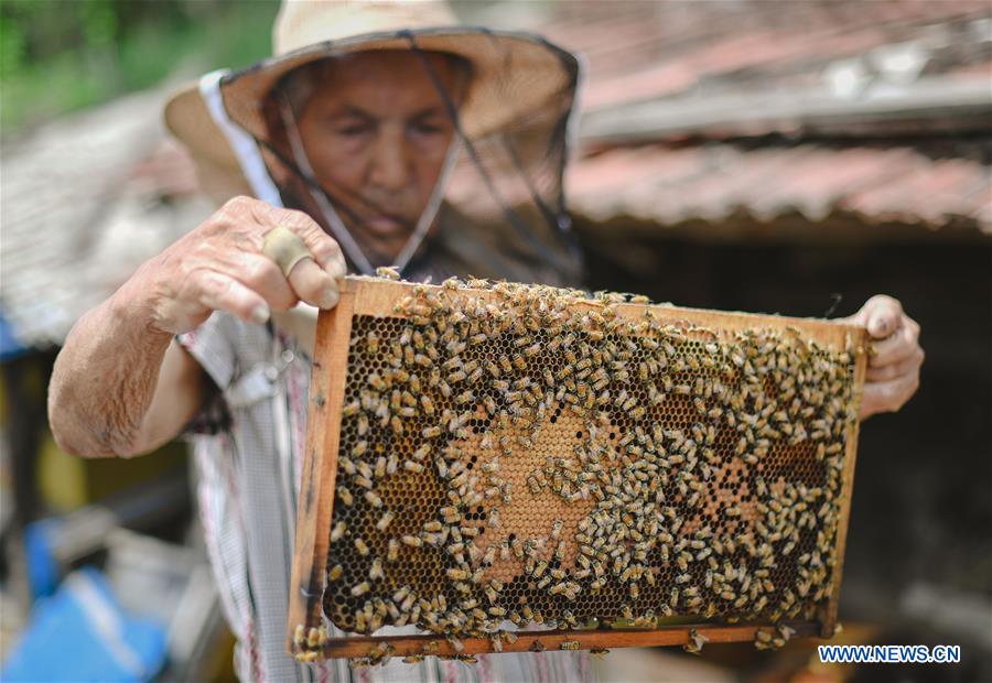 CHINA-JILIN-POVERTY ALLEVIATION-BEEKEEPING (CN)