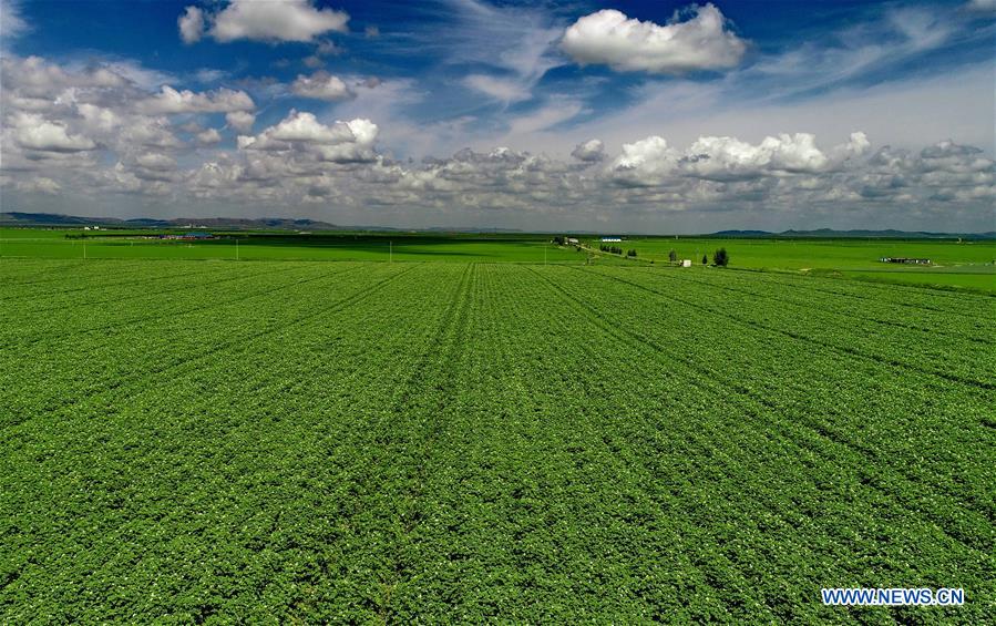 CHINA-HEBEI-ZHANGJIAKOU-FARMLAND (CN)