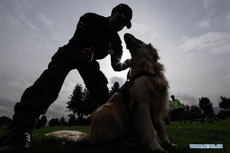 COLOMBIA-BOGOTA-WORLD ANIMAL DAY