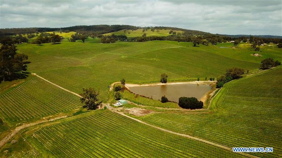 AUSTRALIA-ADELAIDE-WINEMAKER-CHINESE MARKET