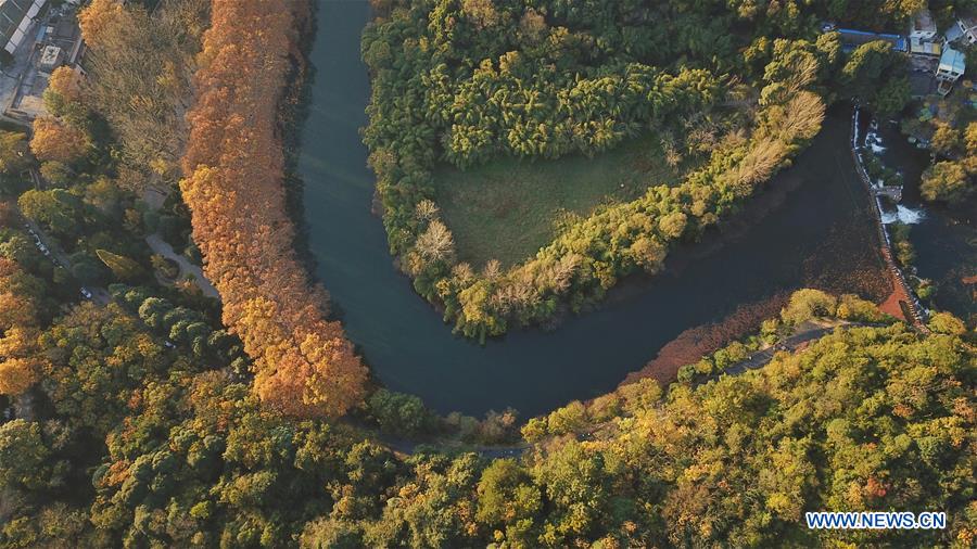 CHINA-GUIZHOU-GUIYANG-WETLAND PARK-AUTUMN SCENERY (CN)