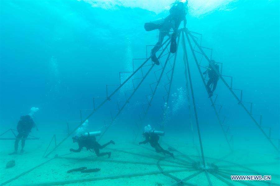 CHINA-HAINAN-DIVING INSTRUCTOR-CORAL REEF RESTORATION (CN)