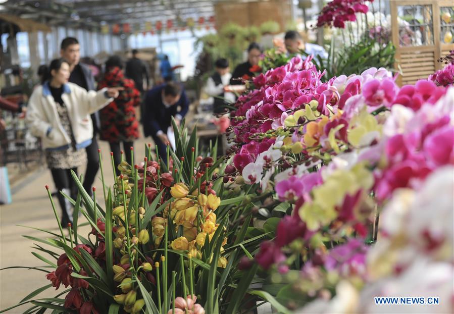 CHINA-FLOWER-SPRING FESTIVAL-PREPARATION (CN)