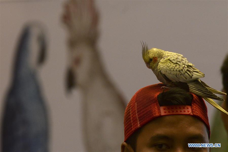 INDONESIA-JAKARTA-PET SHOW