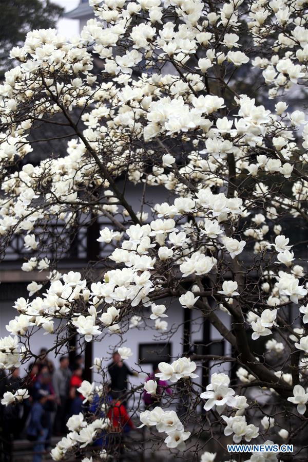 #CHINA-SPRING-FLOWERS (CN)