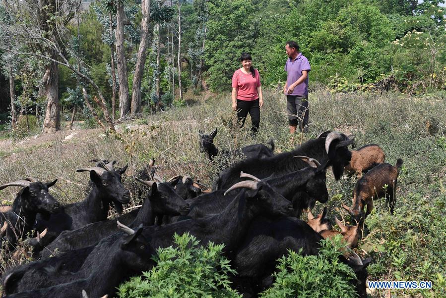 CHINA-YUNNAN-YANSHAN-POVERTY ALLEVIATION (CN)