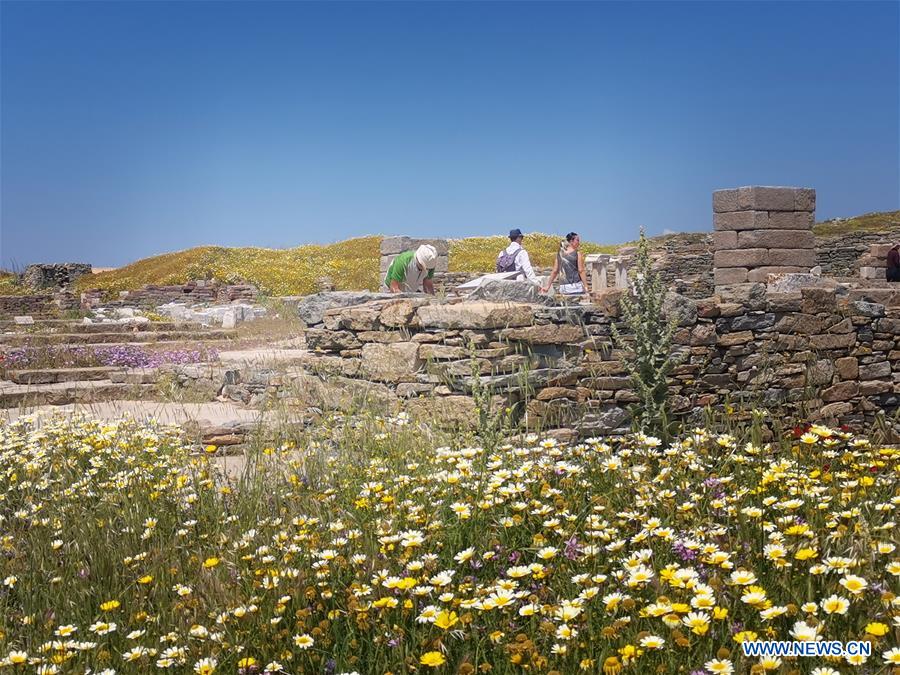 GREECE-CULTURE-ARCHAEOLOGY-DELOS