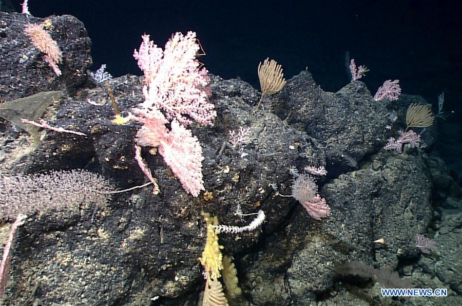 CHINA-ABOARD KEXUE-DEEP-SEABED GARDENS (CN)