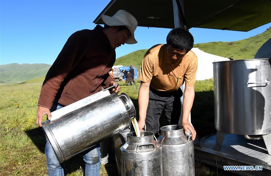 CHINA-SICHUAN-POVERTY ALLEVIATION-YAK-INDUSTRY (CN)