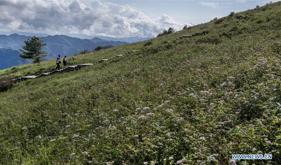 CHINA-SHAANXI-HANZHONG-ZIBAI MOUNTAIN-SCENERY (CN)