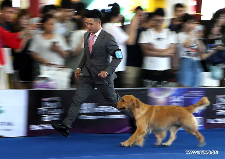 CHINA-SHANGHAI-PET FAIR ASIA-PUBLIC DAY (CN)