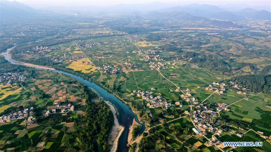 CHINA-GUANGXI-GONGCHENG-FIELDS-SCENERY (CN)