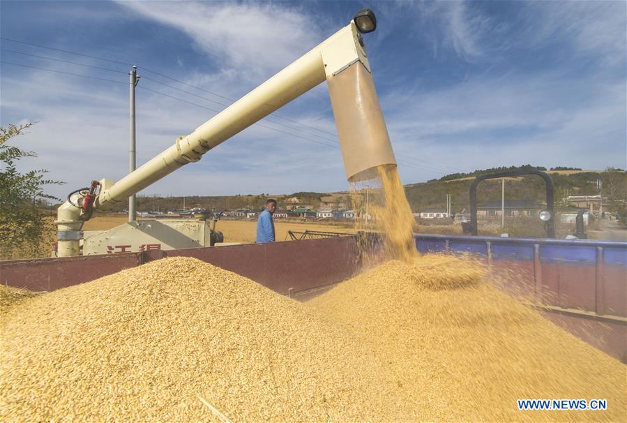 CHINA-JILIN-RICE HARVEST (CN)