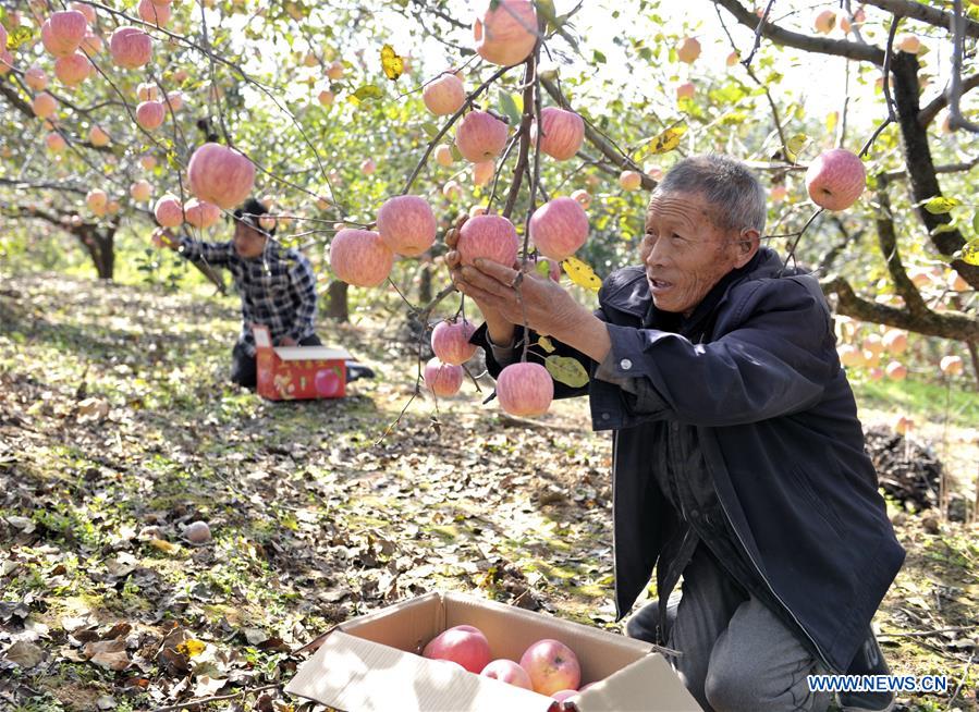 CHINA-HENAN-LUONING-POVERTY ALLEVIATION (CN)