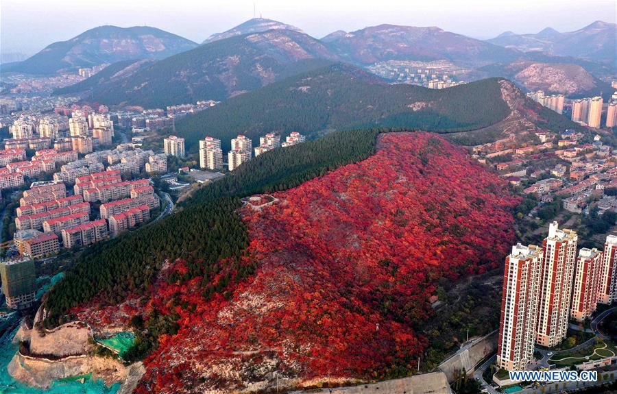 CHINA-SHANDONG-JINAN-AUTUMN SCENERY (CN)