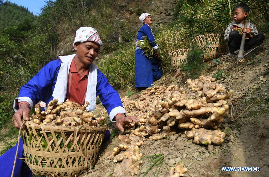 CHINA-GUANGXI-HEZHOU-YAO ETHNIC GROUP-POVERTY ALLEVIATION (CN)