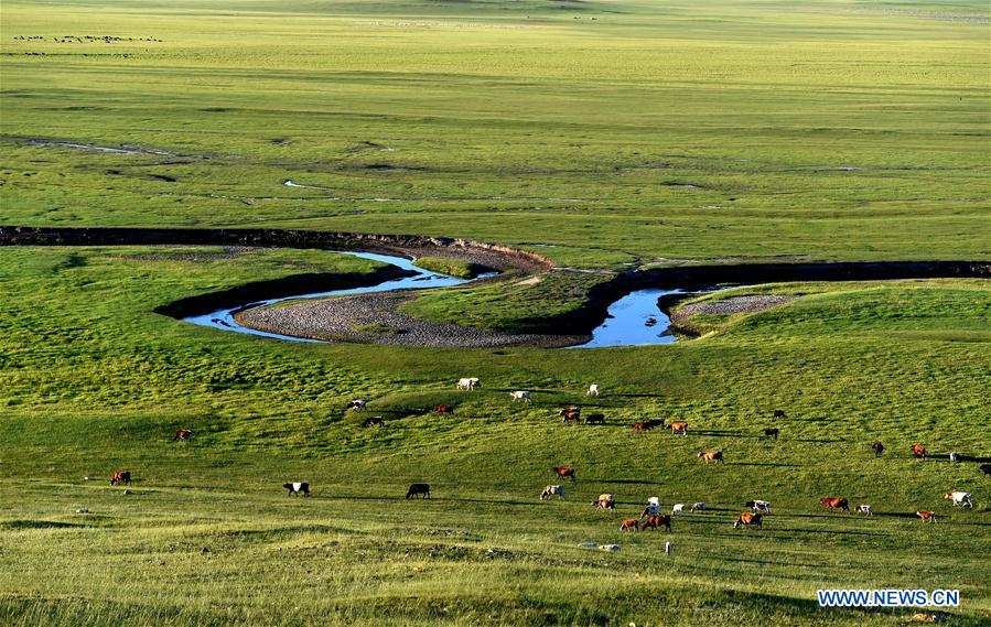 CHINA-INNER MONGOLIA-XILIN GOL-SCENERY (CN)