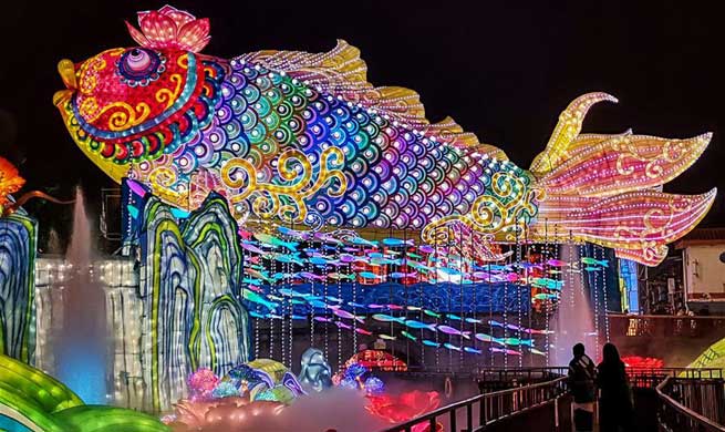 Lantern fair held in Zigong, southwest China's Sichuan