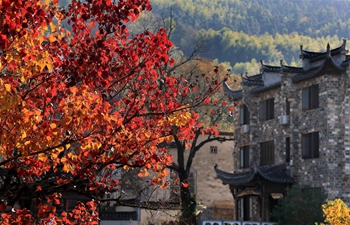 Autumn scenery across China