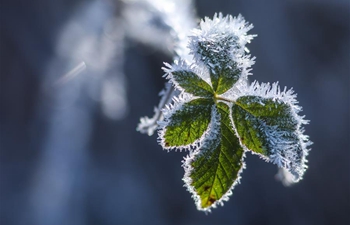 Low temperatures, heavy fog hit parts of Croatia