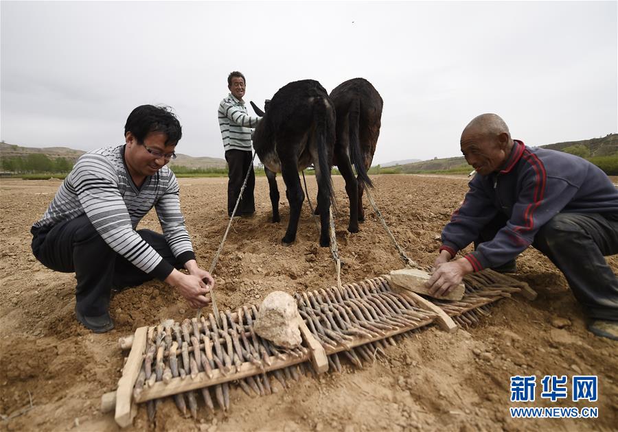 （新华全媒头条·图文互动）（12）开启新征程　谱写新史诗——以习近平同志为核心的党中央引领中国特色社会主义进入新时代