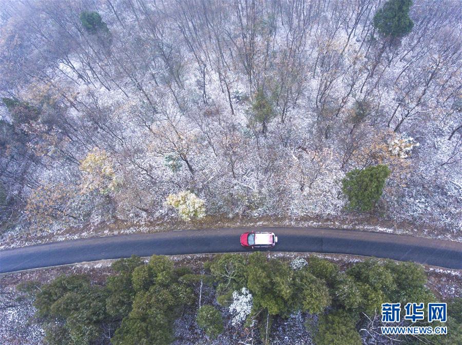 #（环境）（5）瑞雪迎新年