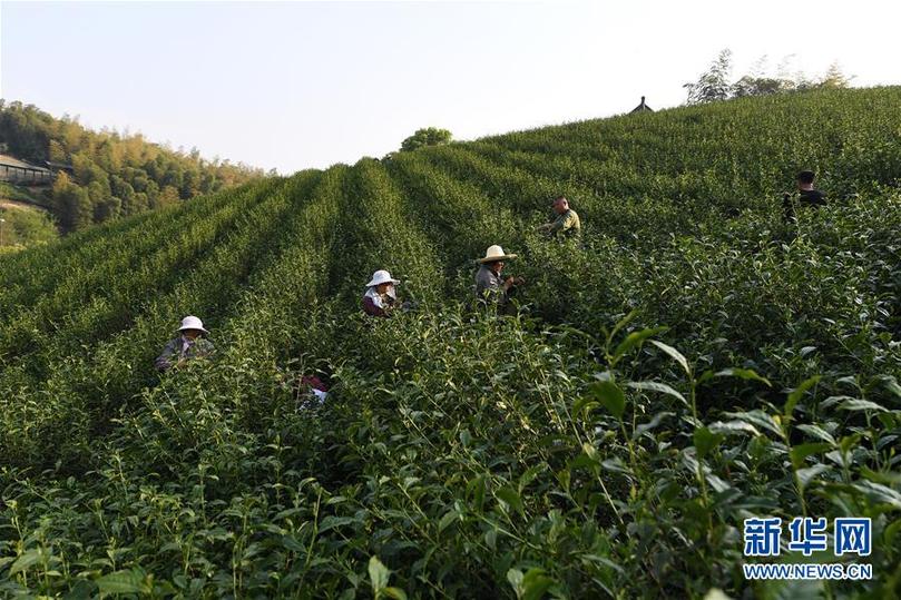 （两会前夕看落实·图文互动）（5）绿色发展引领 守护“鱼米之乡”——江苏落实习近平总书记全国两会重要讲话精神纪实