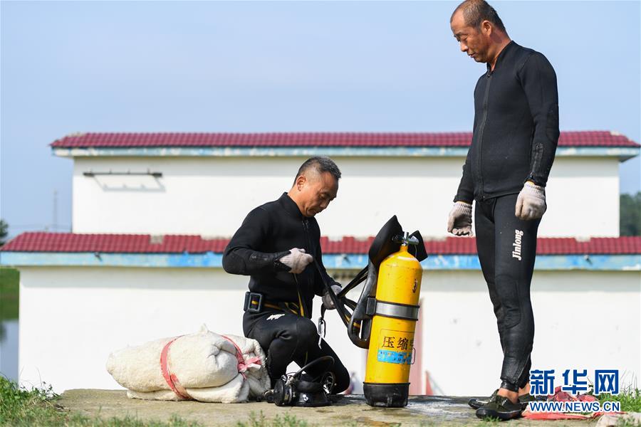 （防汛抗洪·图文互动）（7）洞庭“蛙人”：在水下10米打响家园保卫战