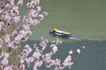 花开刘家峡