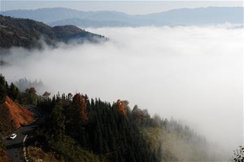 贵州从江现云海美景